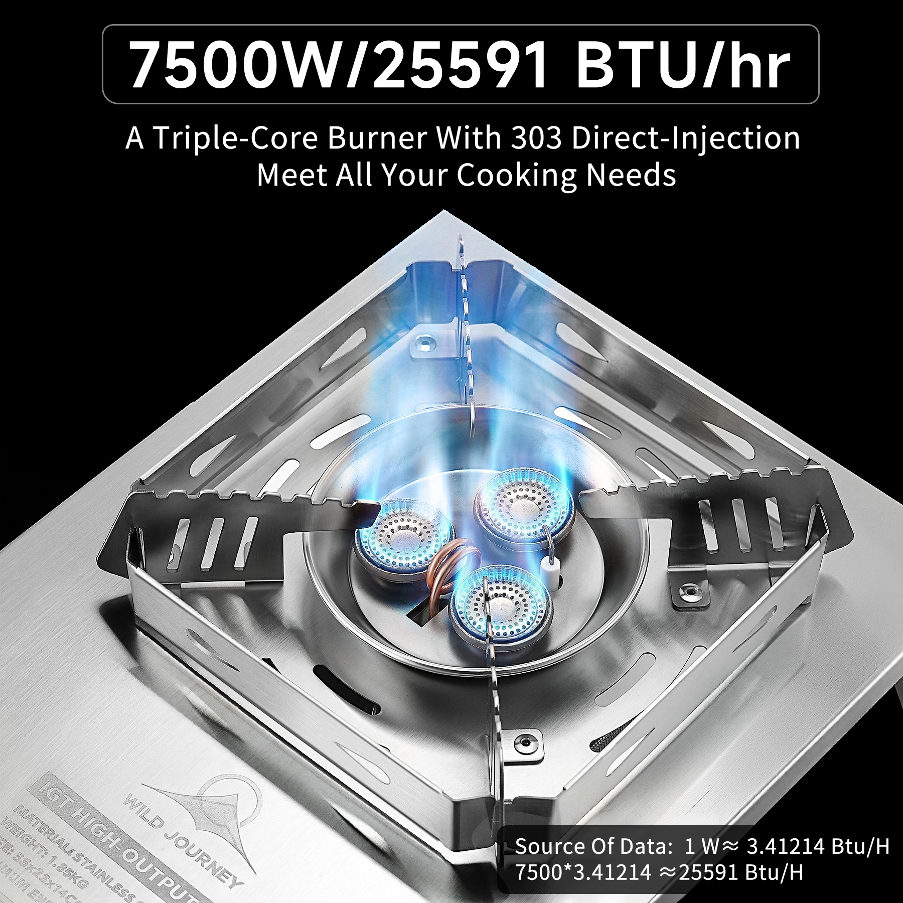 Foldable IGT Gas Camping Stove