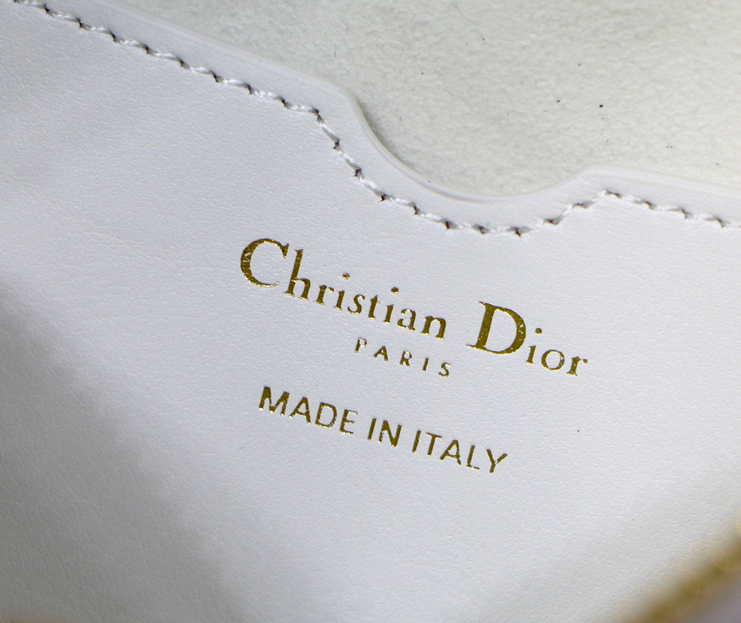 TOP Christian Dior Vibe Hobo Bag Small - White
