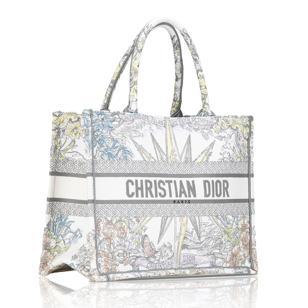 DIOR Book Tote Starlight&Star Tote Bags(Replica)