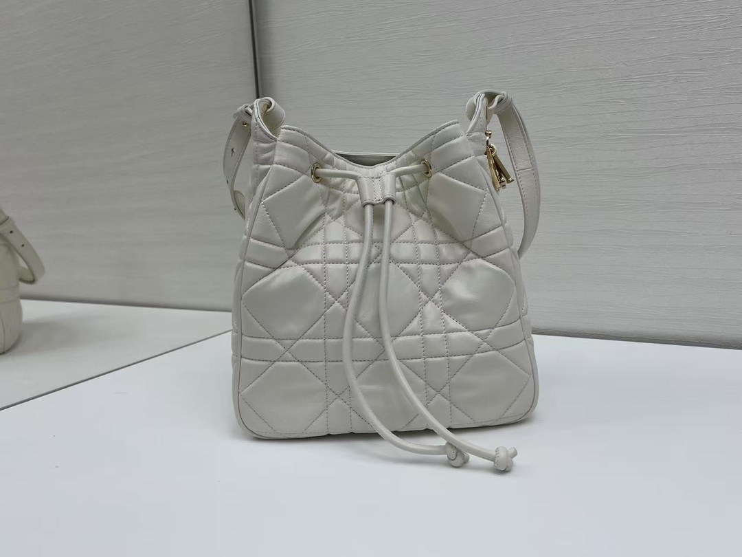TOP Christian Dior D-Motion Bag Lambskin 23x24x13cm - 4 Color