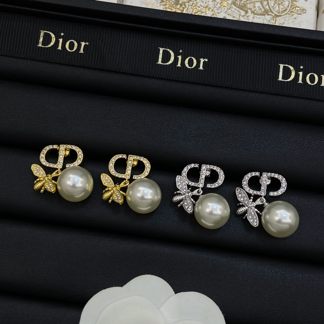 TOP Christian Dior Earrings - 2 Colour
