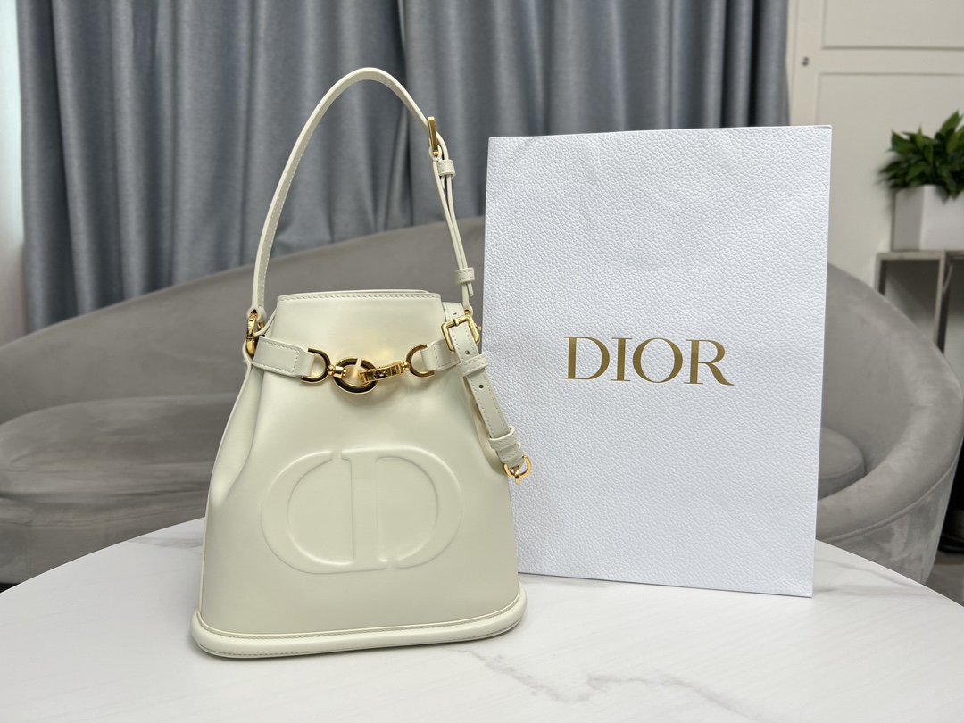 TOP Christian Dior C'est Small Bucket Bag 24 x 10 x 24.5 cm - 3 Colors