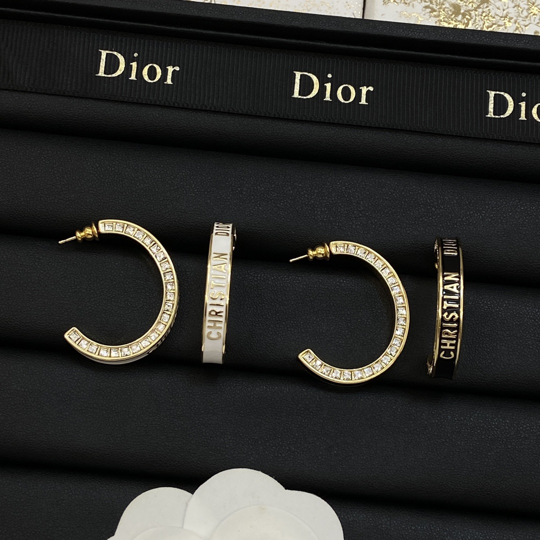 TOP Christian Dior Earring - 2 Colors