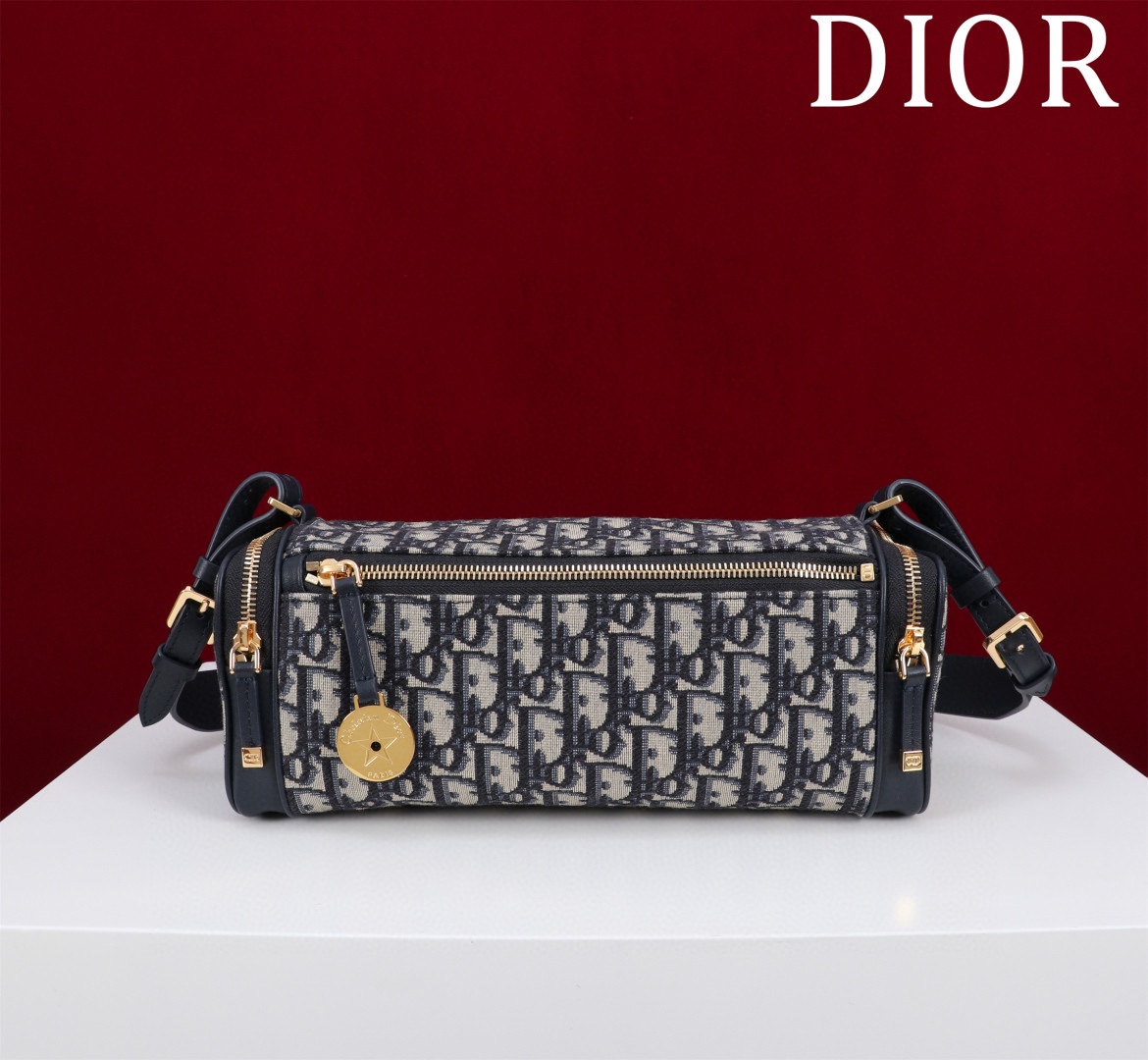TOP Christian Dior East-West Bag 27*11*10cm - Blue