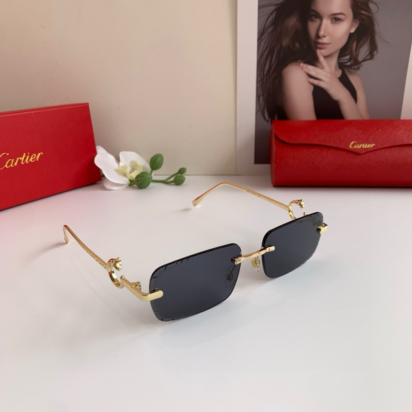 TOP Cartier Sunglasses - 3 Color