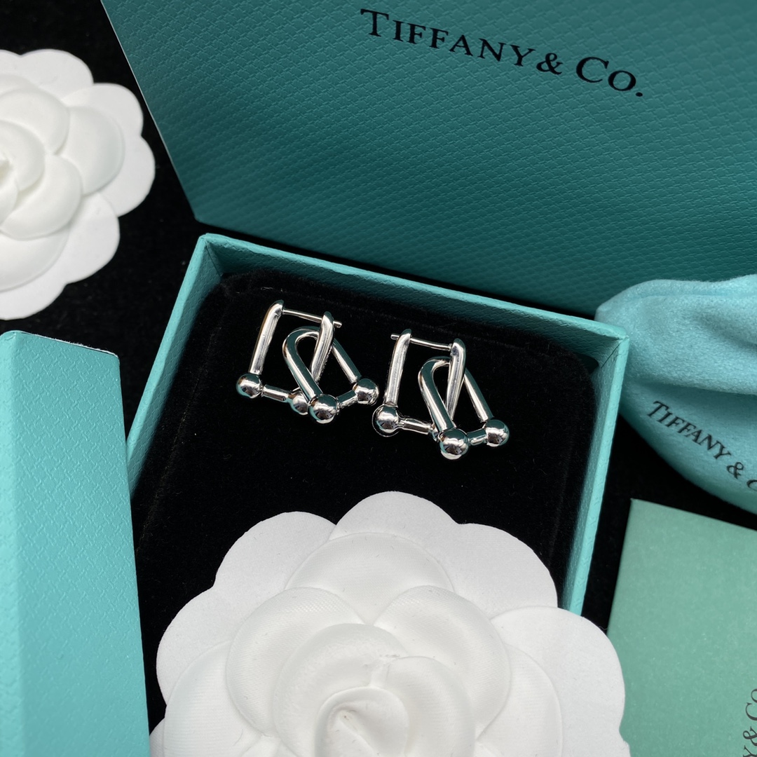 TOP Tiffany & Co. Link Earrings - Silver