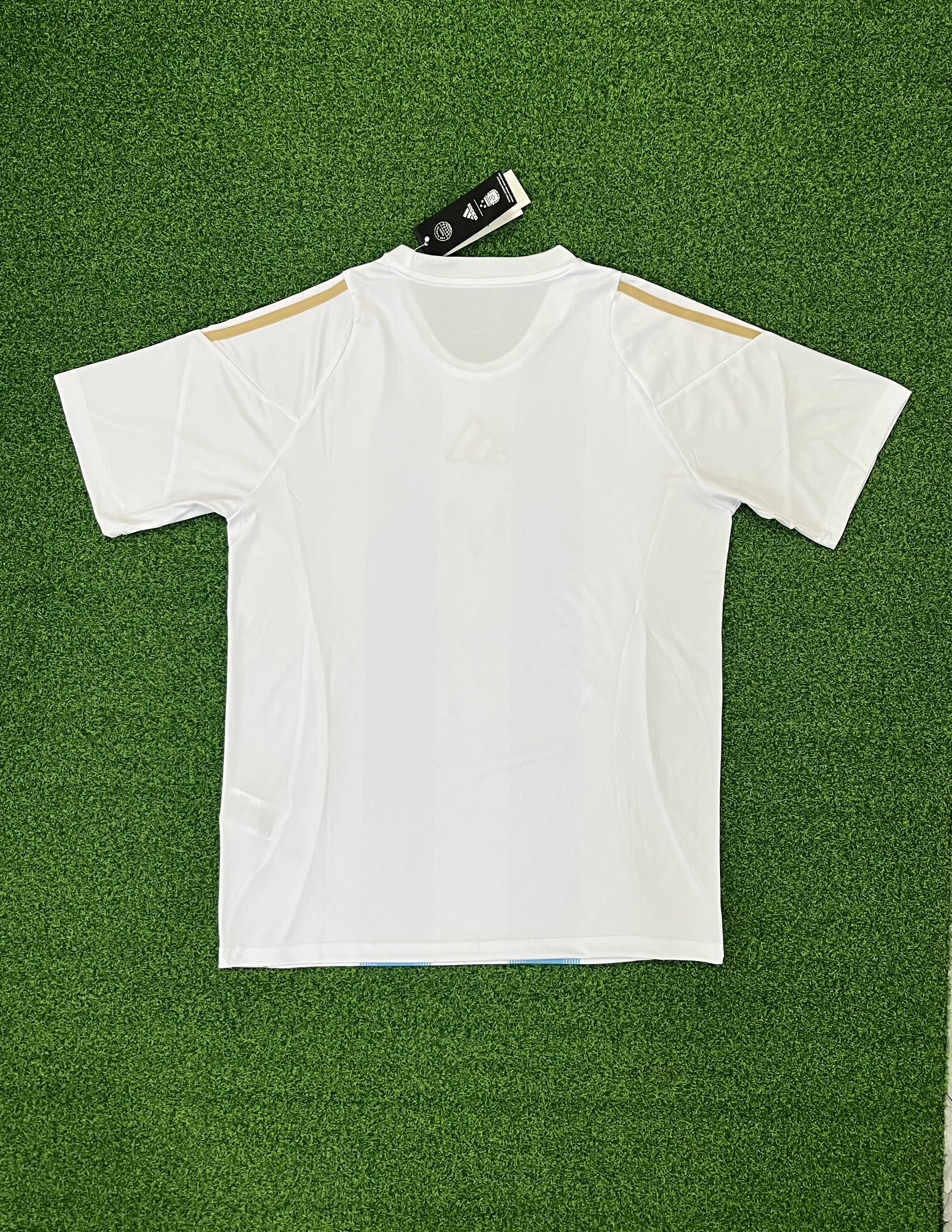 2425 Argentina Spark 10th Generation Home Stadium jersey...Player embroidery version