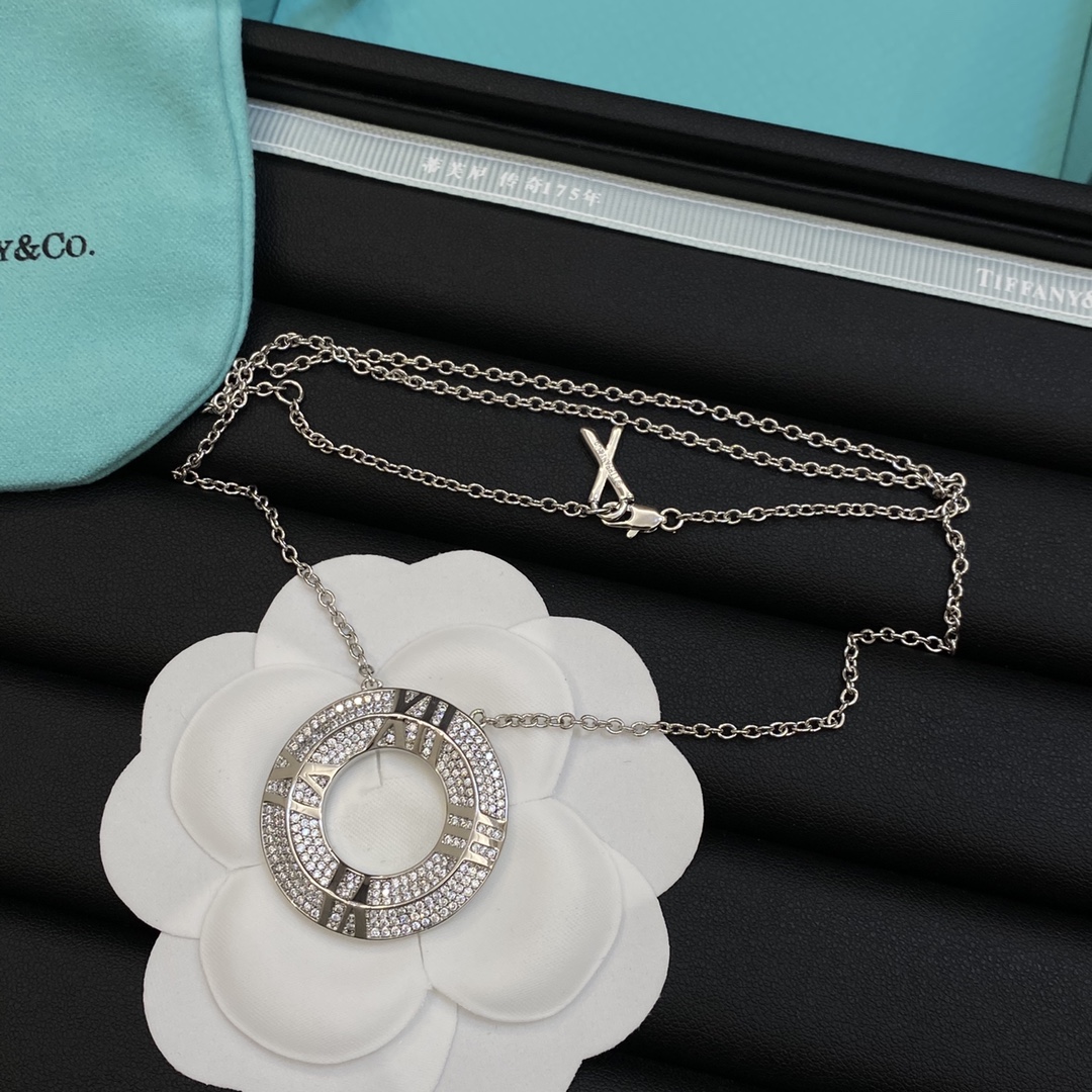 TOP Tiffany & Co. Necklace - Silver