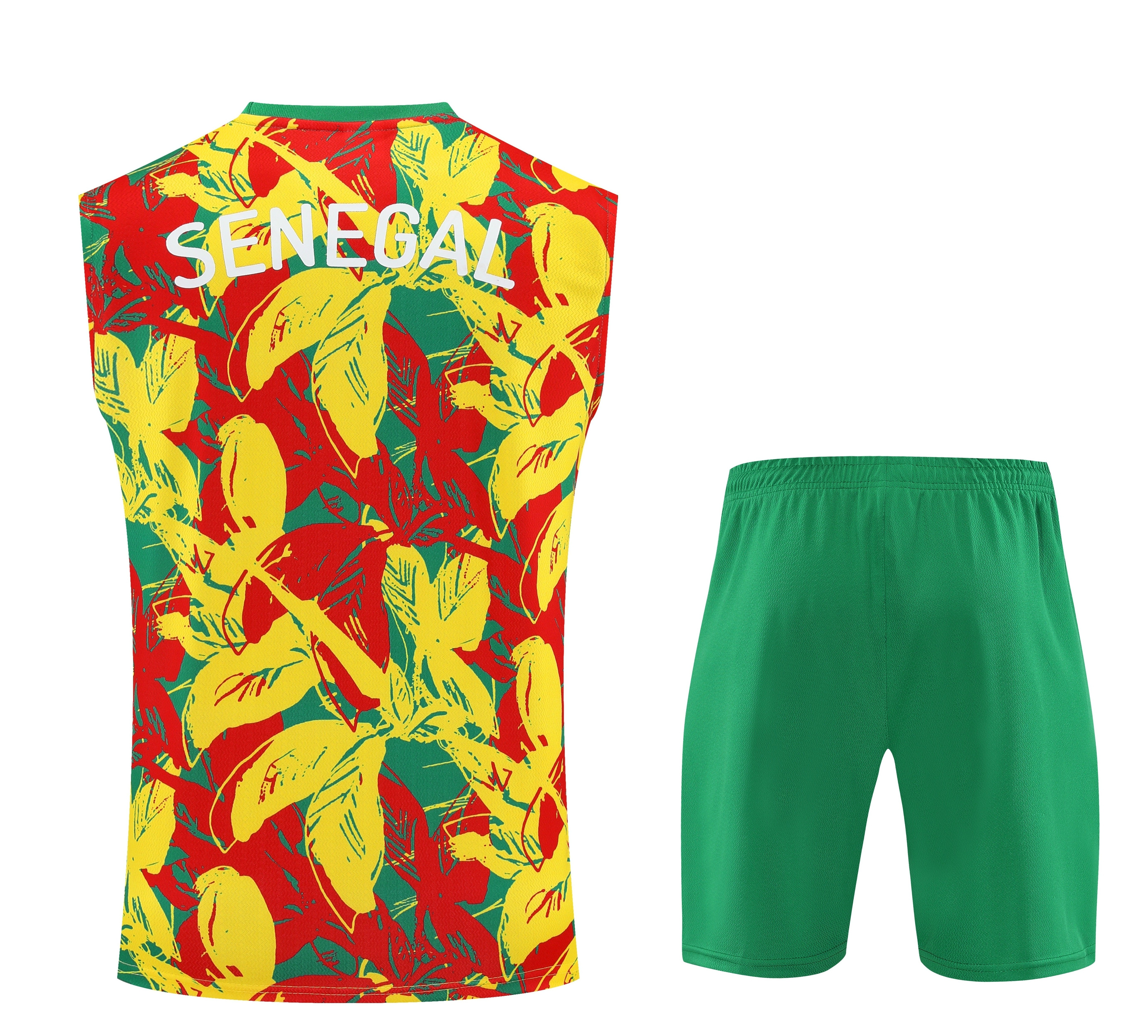 Senegal Pre-Match Training Vest Kits 25-26