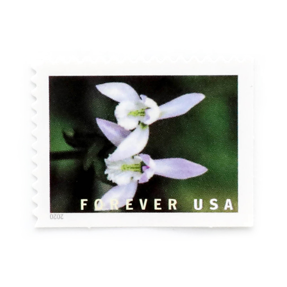 U.S.2021 Wild Orchids Framed Forever Stamps