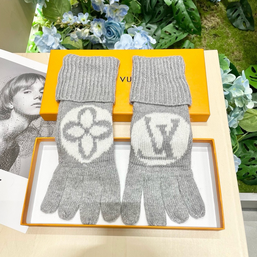 TOP Louis Vuitton LV  Gloves-4 Colors