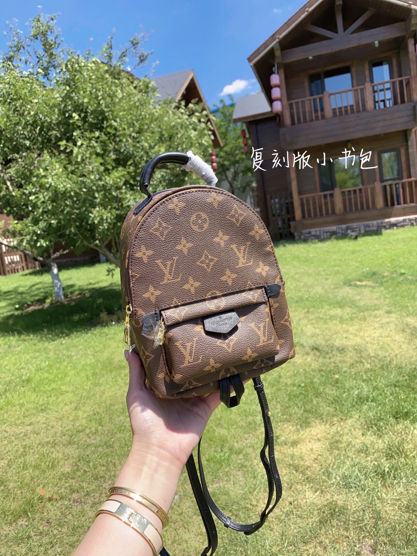 TOP Louis Vuitton LV £V Palm Springs Mini Monogram 17 x 22 x 10 cm-Brown