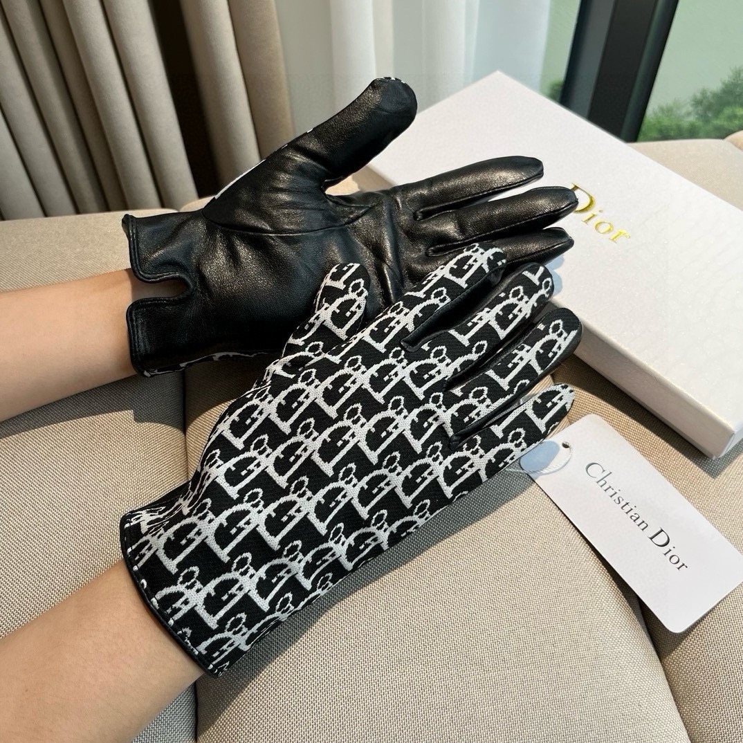 Top Christian Dior Sheepskin Gloves - 2 Colors