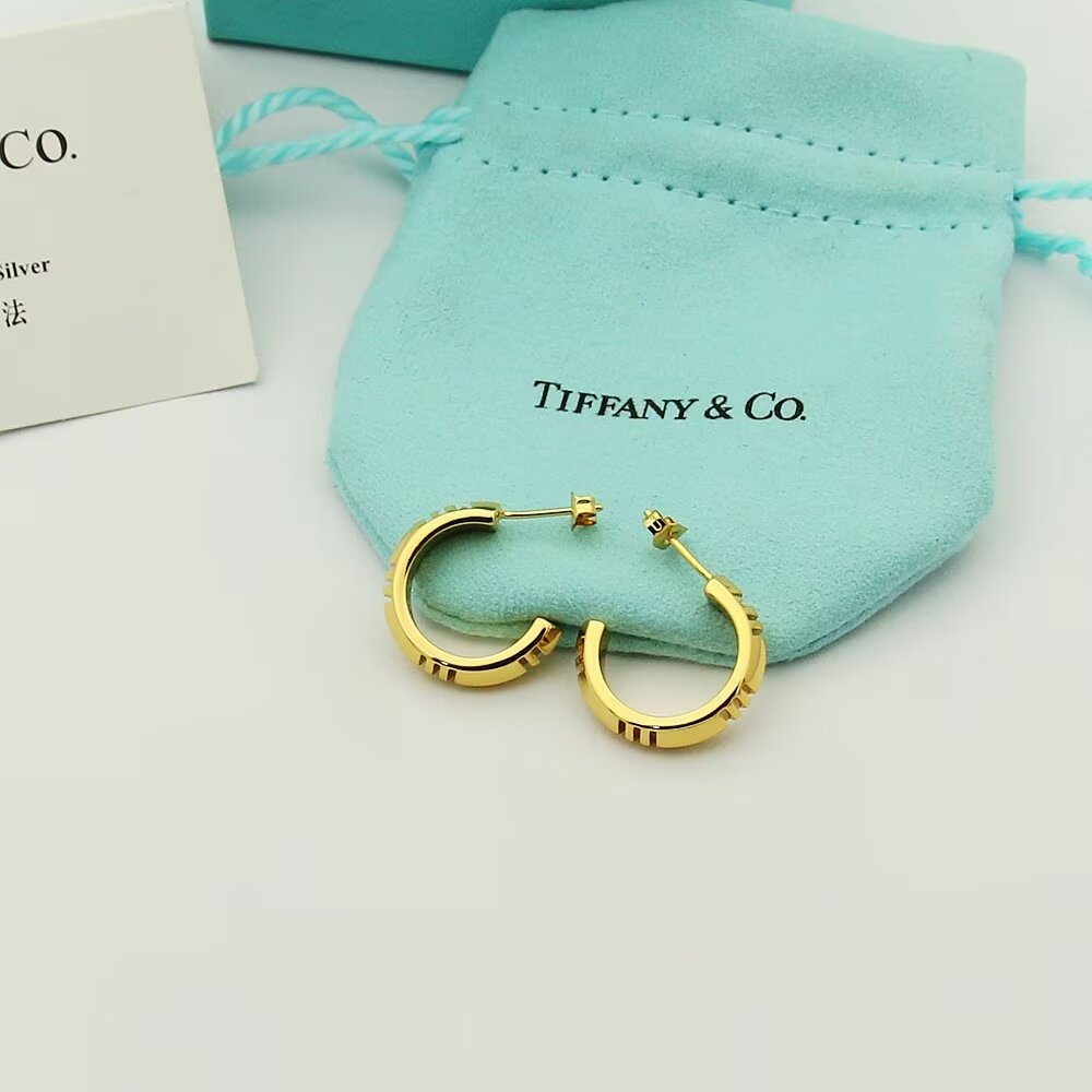TOP Tiffany & Co. Earrings - 3 Colors