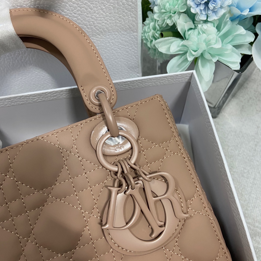 TOP Christian Dior Lady Christian Dior Bag Calfskin Matte Deerskin Velvet Lining 20x17x8 cm - Pink