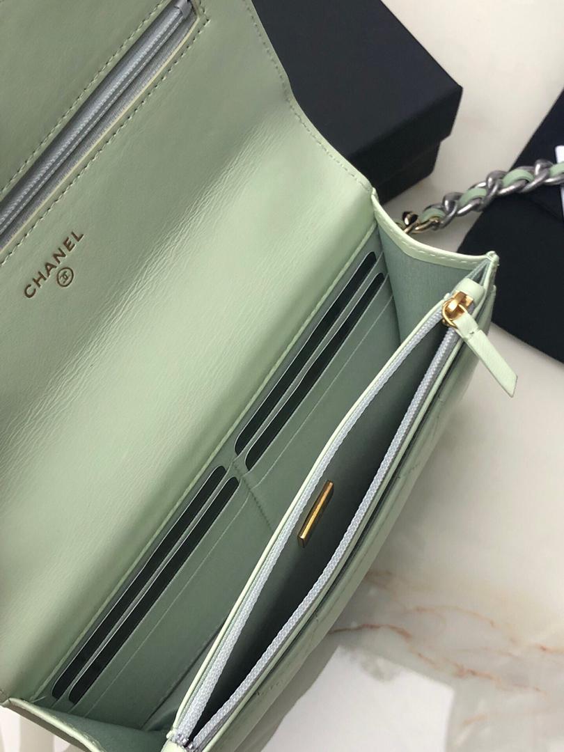 TOP CHANEL 19 WOC Bag - Light Mint Silver Buckle