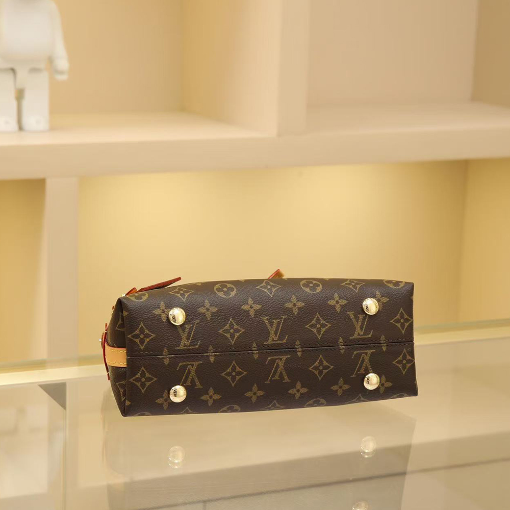 Louis Vuitton  CarryAll BB (Replica)