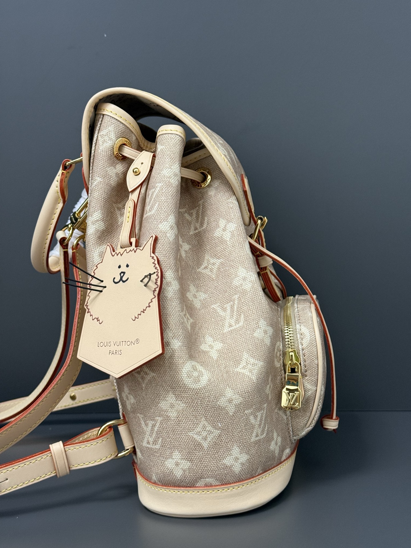 TOP Louis Vuitton LV Travels With Montsouris Backpack 30 x 18 x 28 cm - Beige