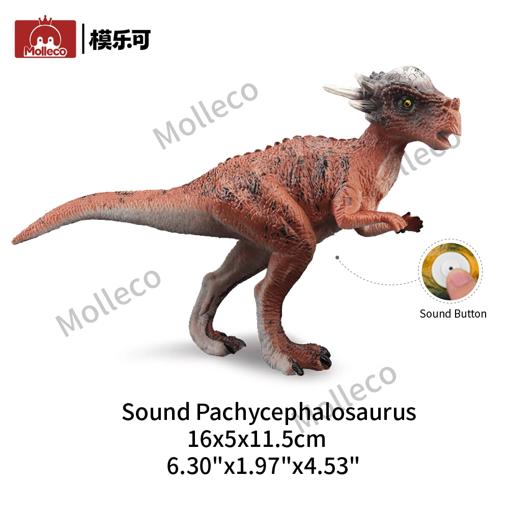 Pachycephalosaurus dinosaur figure toy CP062-1
