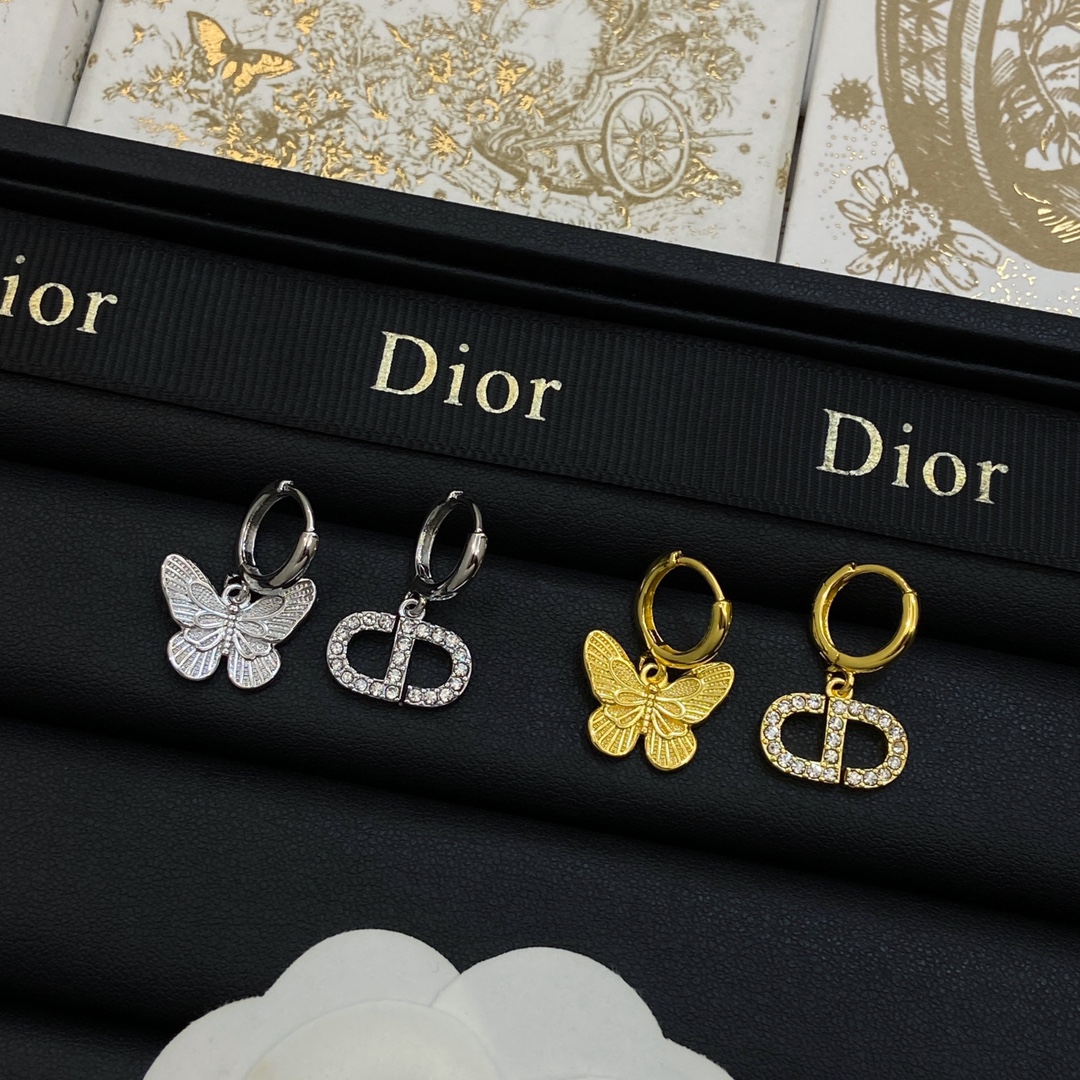 TOP Christian Dior Earrings - 2 Colour
