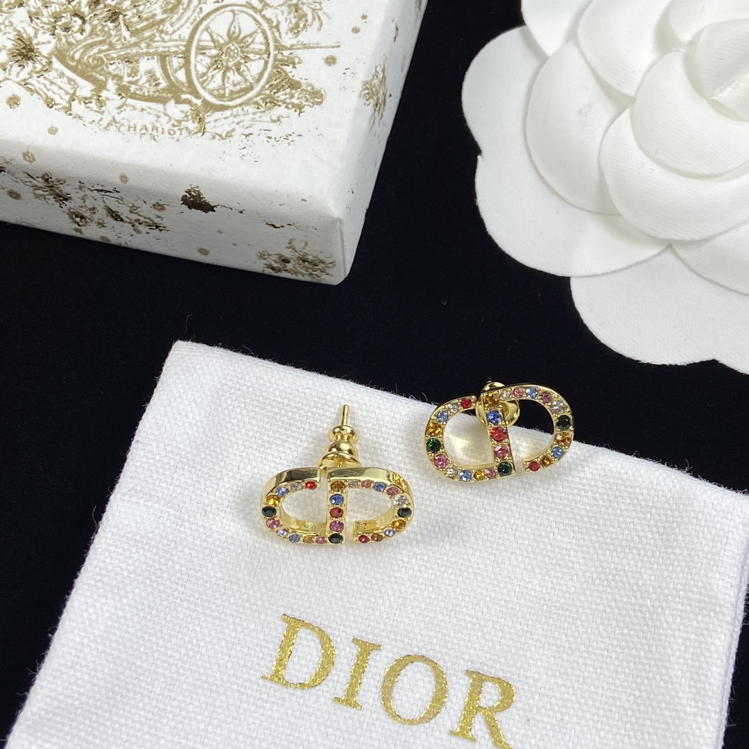 TOP Christian Dior Earrings - Gold