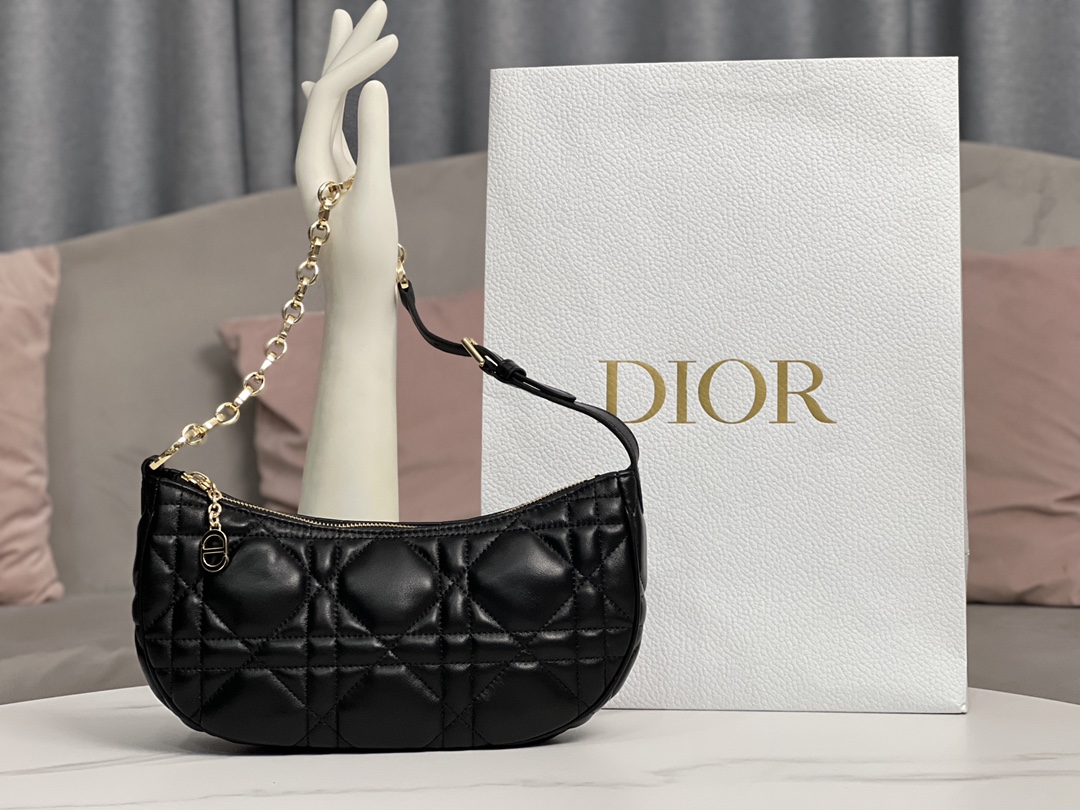 TOP Christian Dior CD Lounge Bag 26 x 15 x 5.5cm - 3 Color - GHW