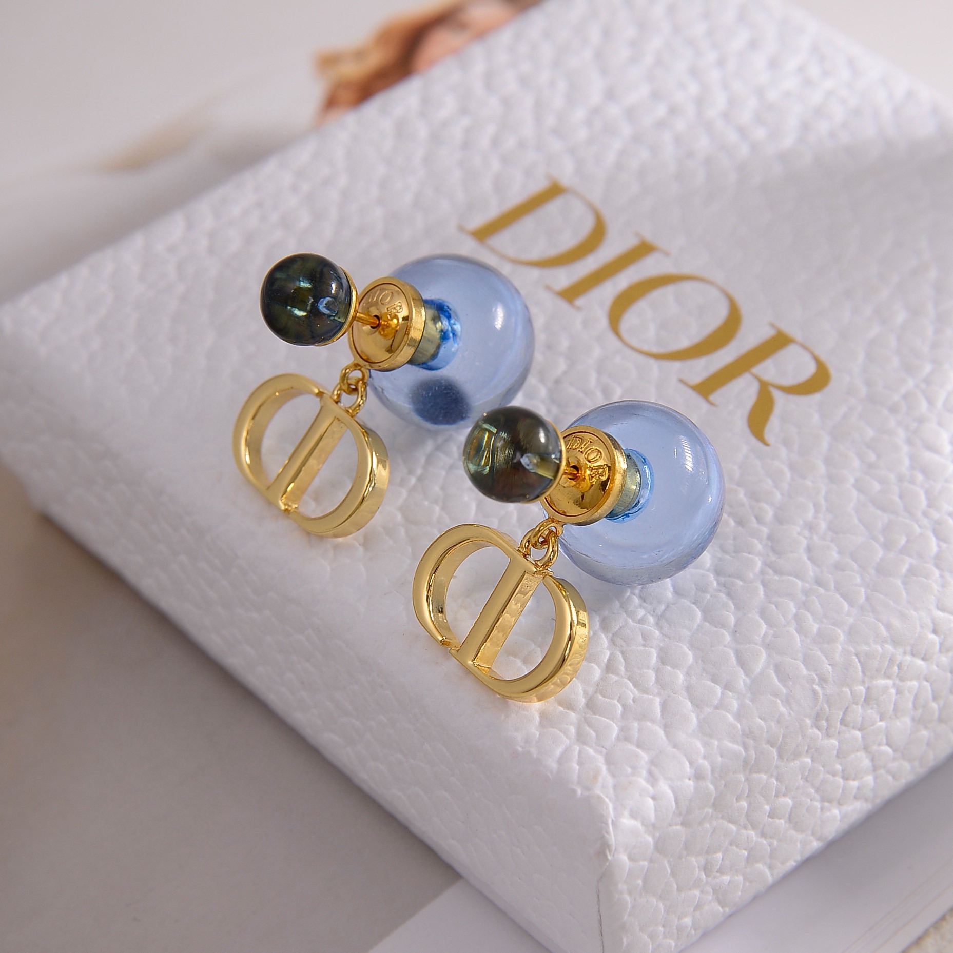 TOP Christian Dior Earrings-2 Colors