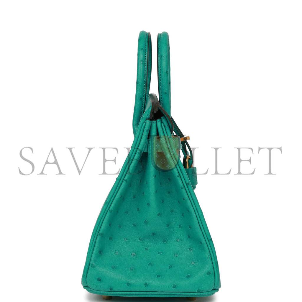 HERMES MASTER BIRKIN 25 GOLD HARDWARE (25*20*13cm)