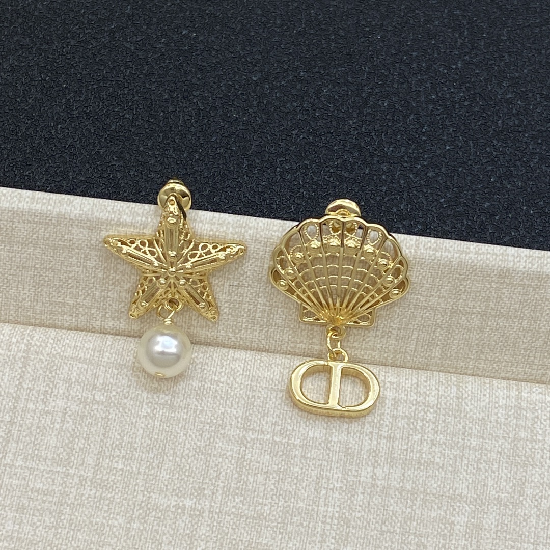 TOP Christian Dior Earrings - 2 Colour