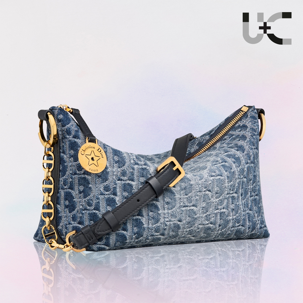 Dior Oblique Star Hobo Denim Bag（10A Mirror Version）