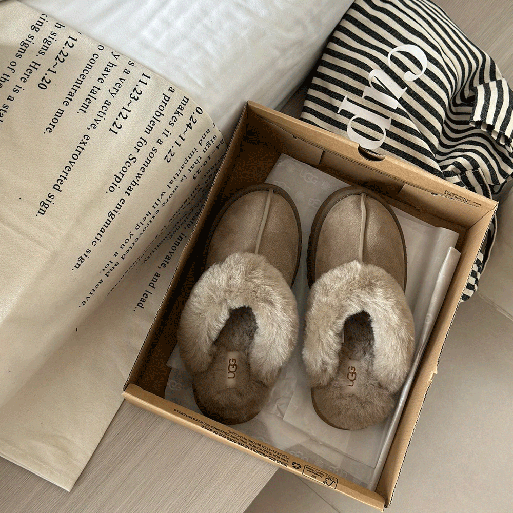 UGG  Disquette Slipper (Replica)