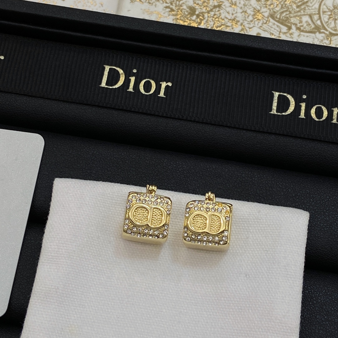 TOP Christian Dior Earring - 2 Colors