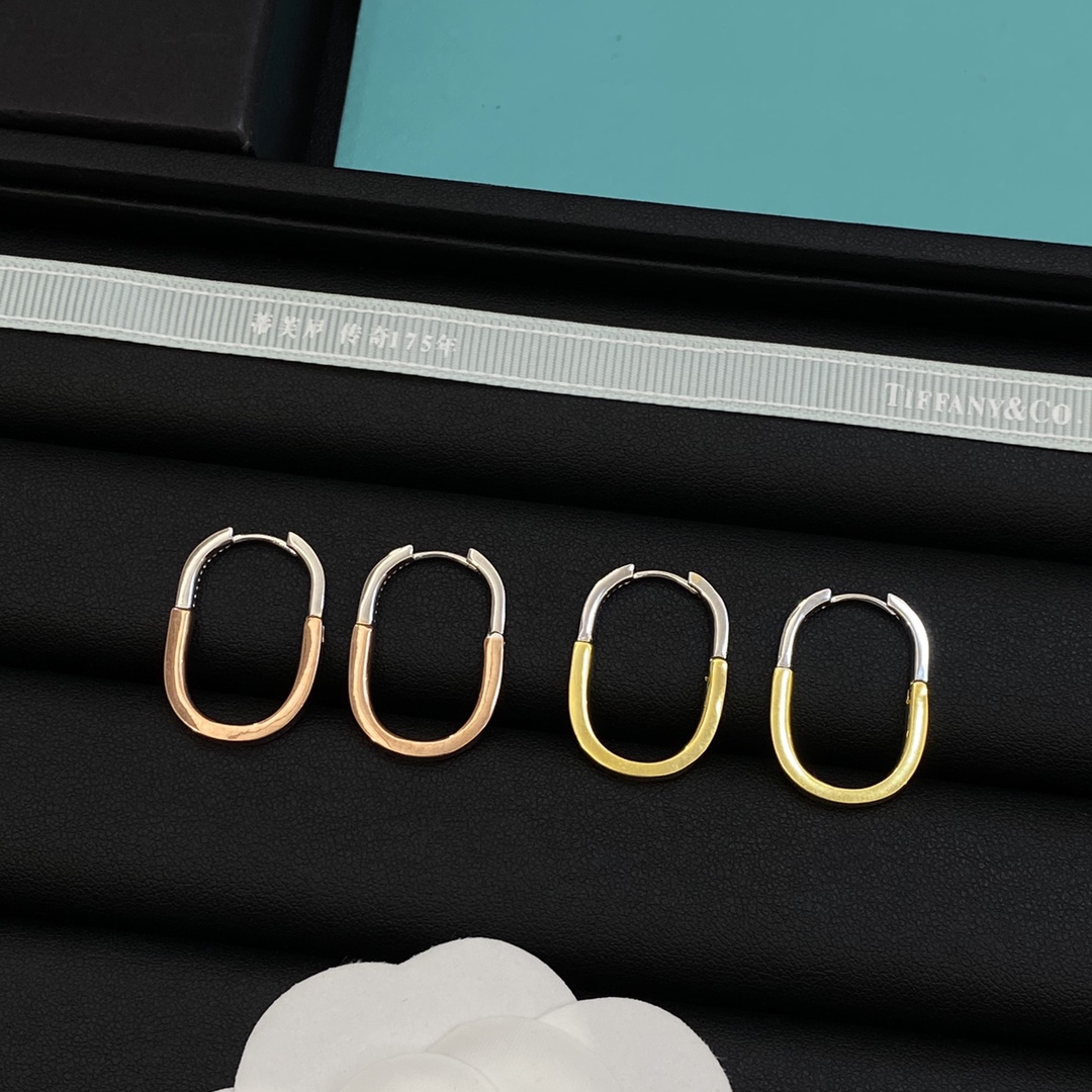TOP Tiffany & Co. Earrings - 2 Color