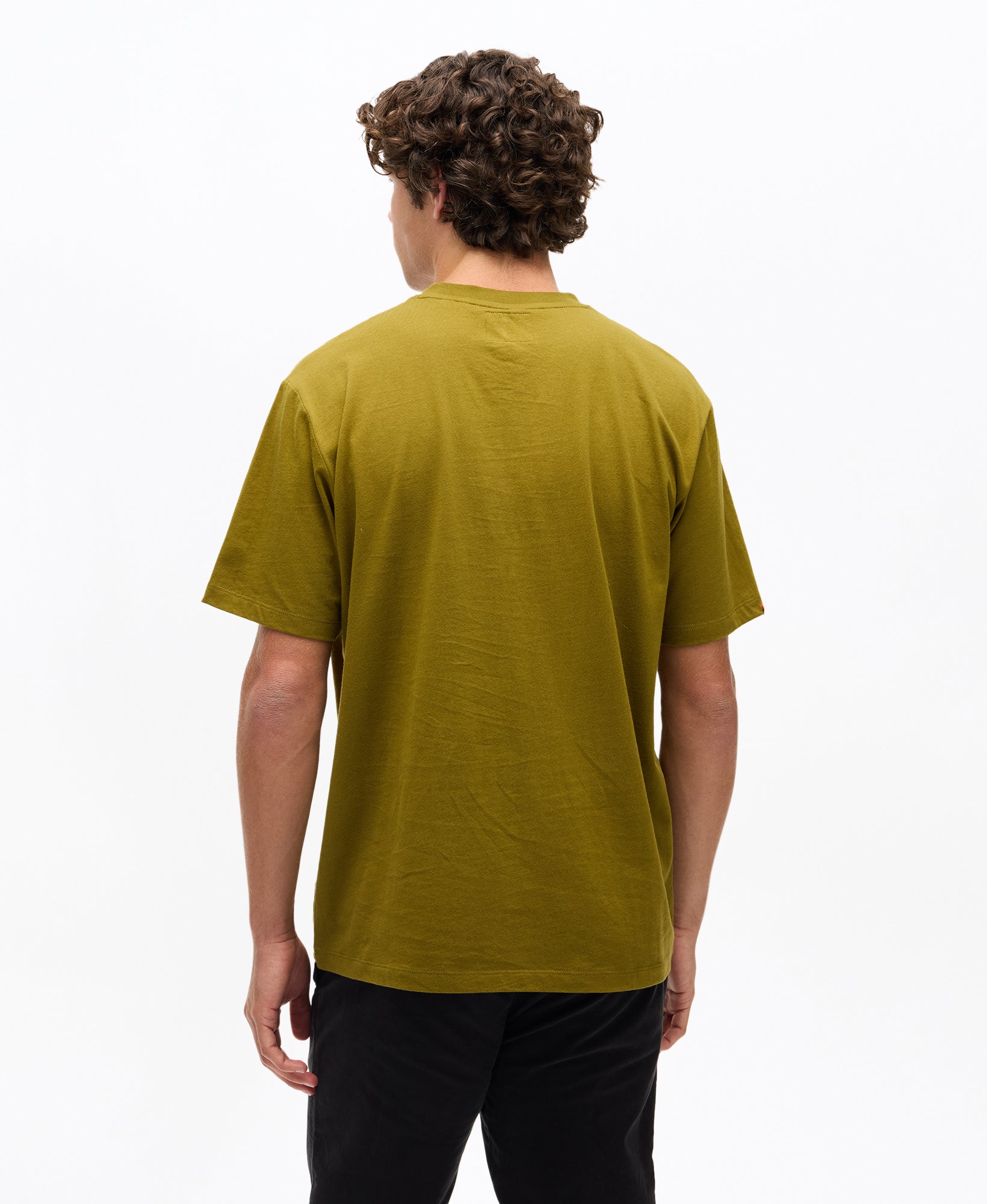 Trad Tattoo Graphic Tee | Fir Green
