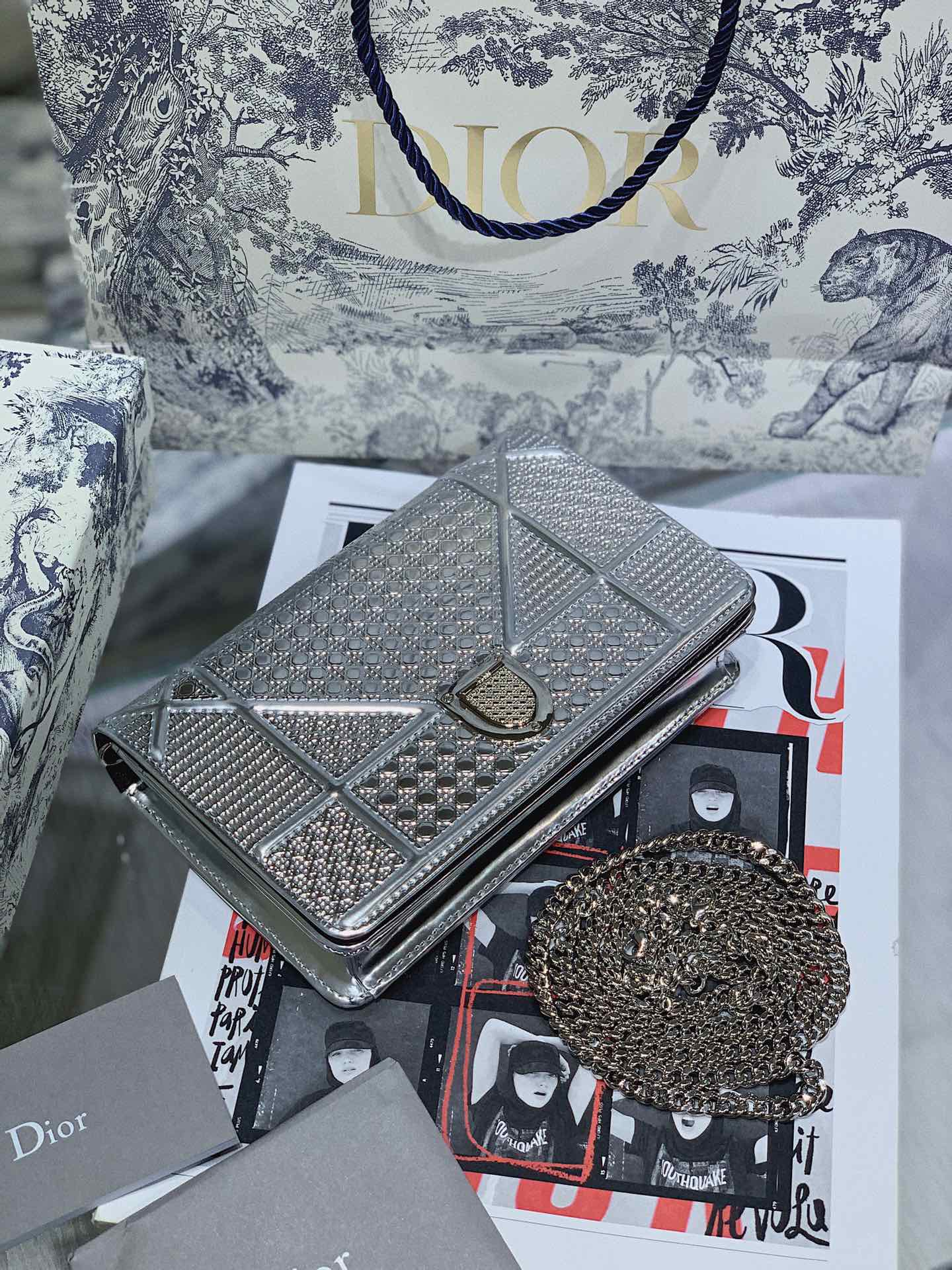 TOP Christian Dior D'Rama WOC - Silver