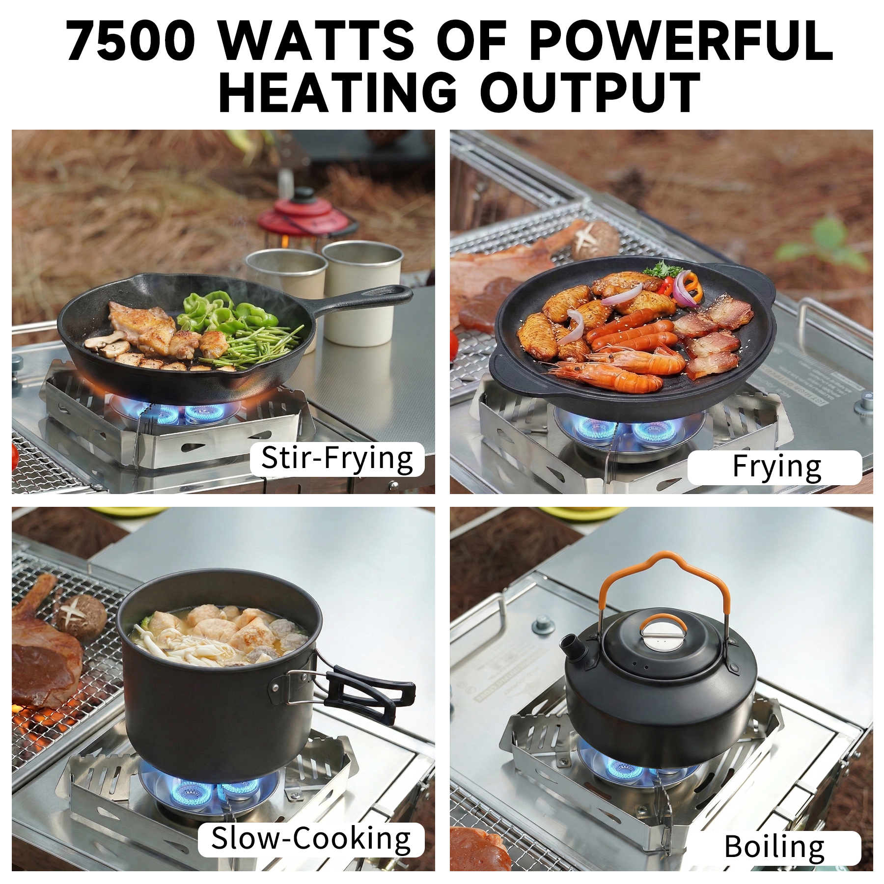 Foldable IGT Gas Camping Stove