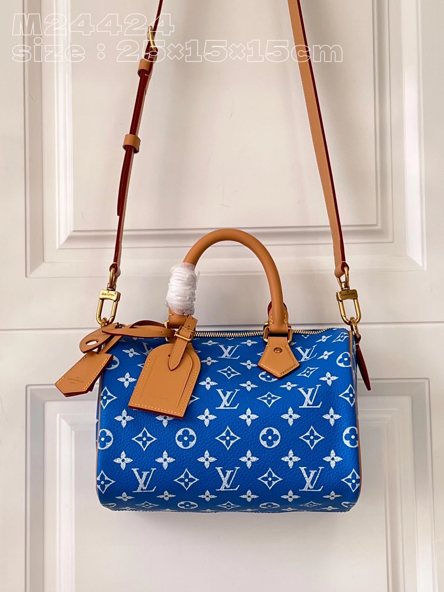 TOP Louis Vuitton LV Calfskin Speedy 25 Bag 25x15x15cm - 3 Colors