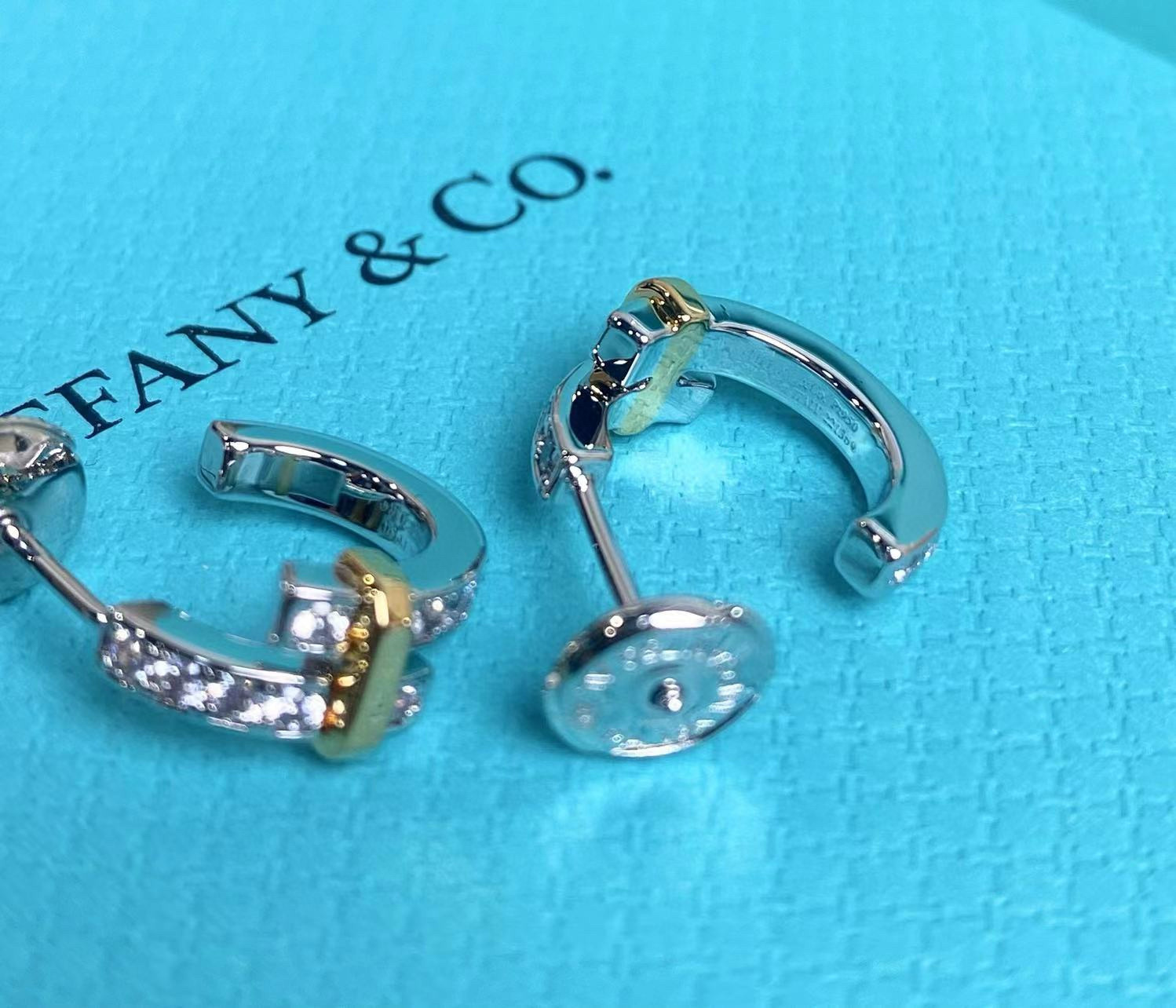 TOP Tiffany & Co. Diamond  Earrings -Sliver