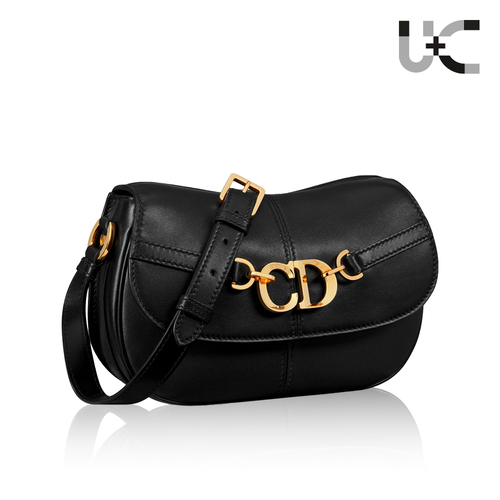 Dior Small CD Besace Bag（10A Mirror Version）