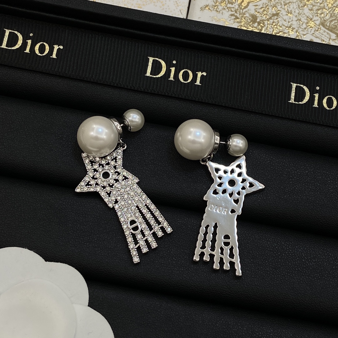 TOP Christian Dior Earring-2 Colors