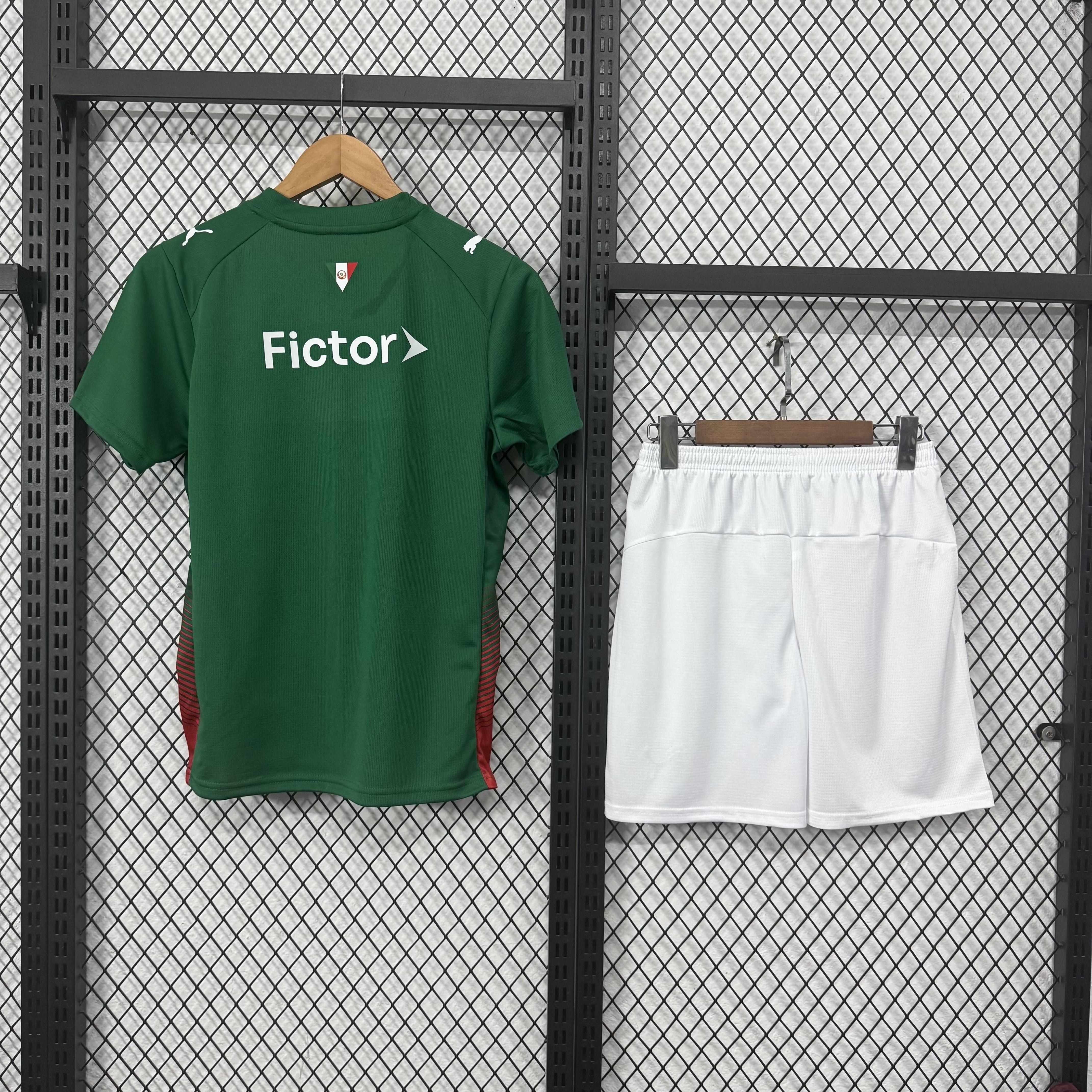 Palmeiras Home Adult Suit 26/27