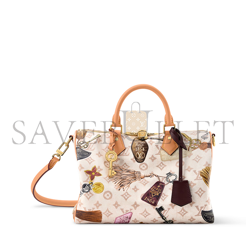 LOUIS VUITTON MASTER SPEEDY 30 SOFT M29377 (30*21*17cm)