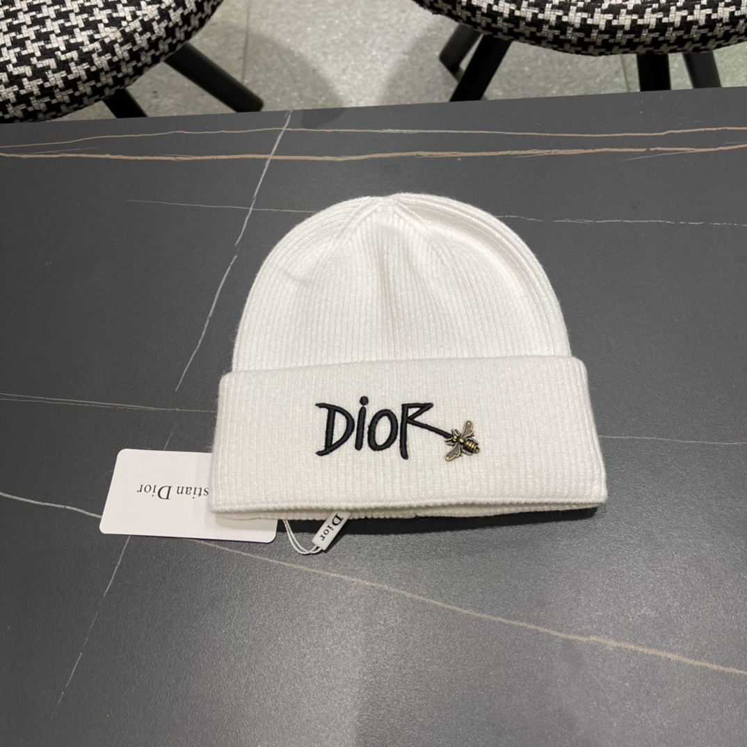 TOP Christian Dior Knitted Wool Hat - 4 Color