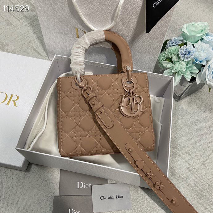 TOP Christian Dior Lady Christian Dior Bag Small 20cm