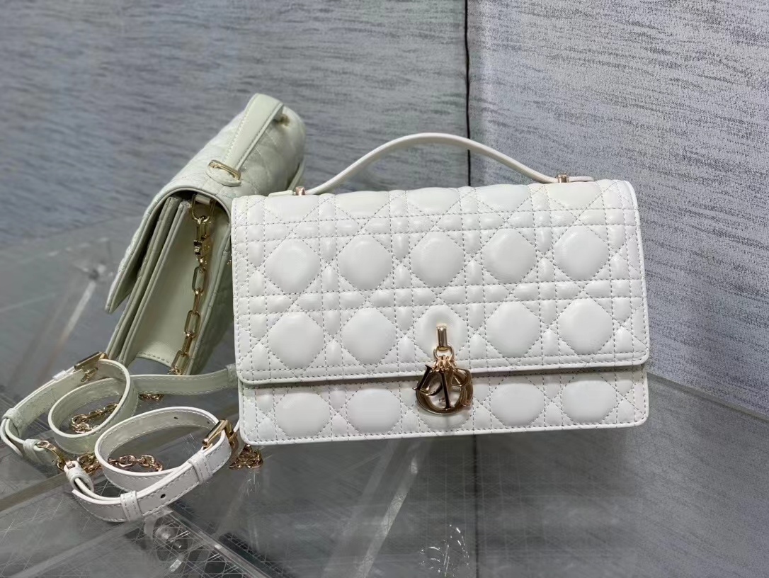 TOP Christian Dior Sheepskin Leather Handbag 24x14x7.5cm-2 Colors