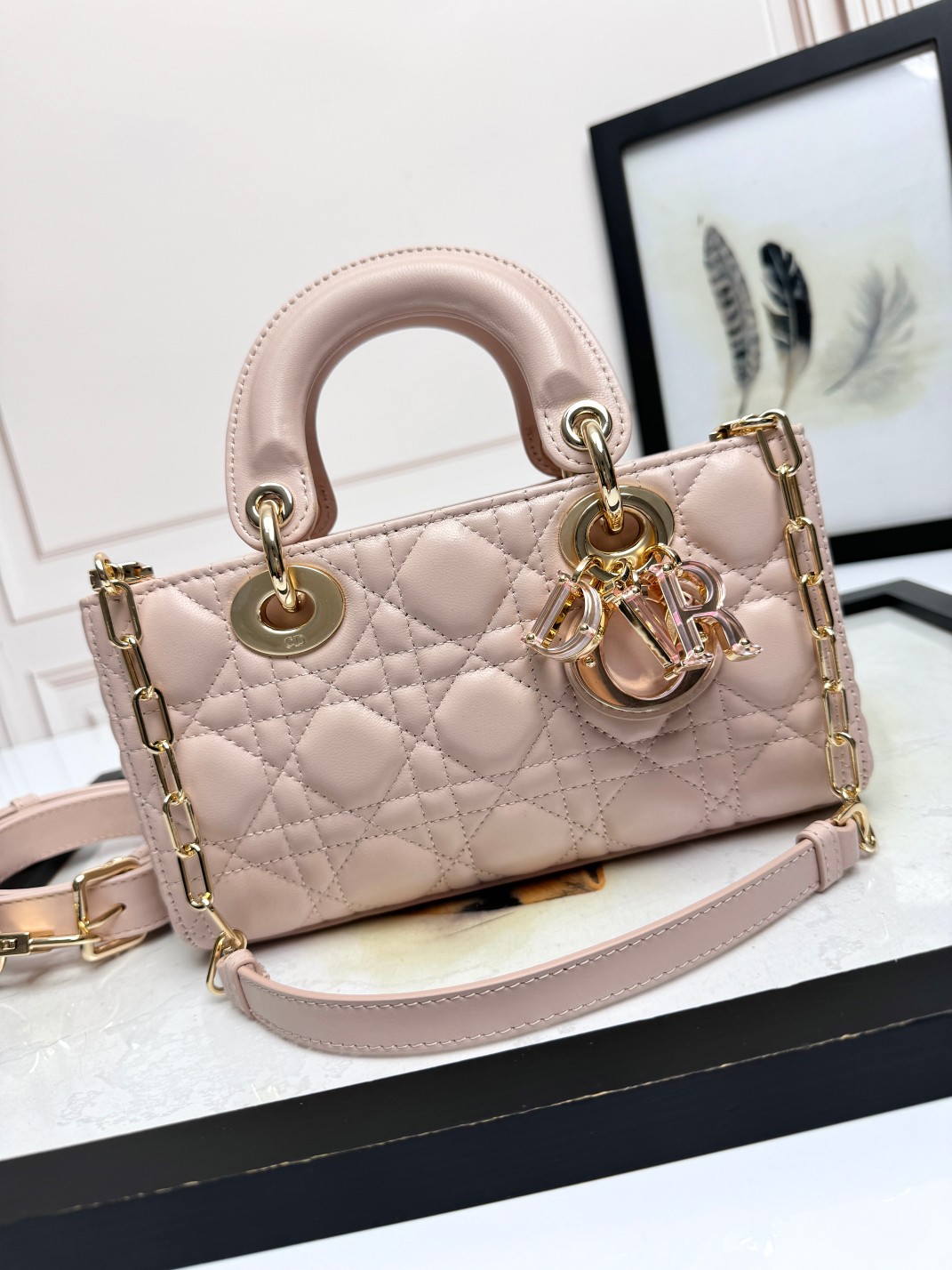 TOP Christian Dior Lady D-Joy Bag Mini Handbag 20x12x6cm - 3 Colors