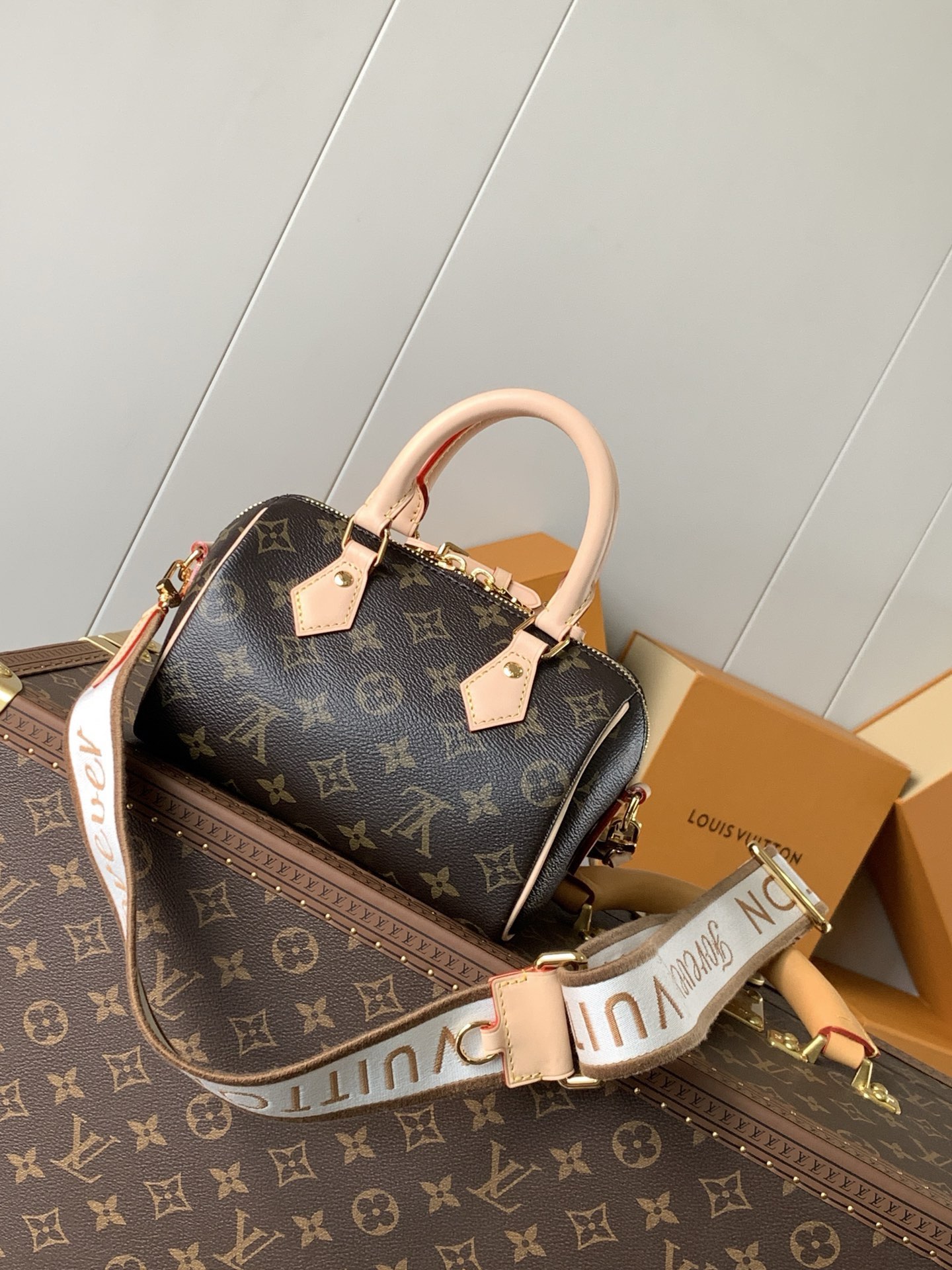 TOP Louis Vuitton LV SPEEDY TRUNK 18 Bag  - Brown