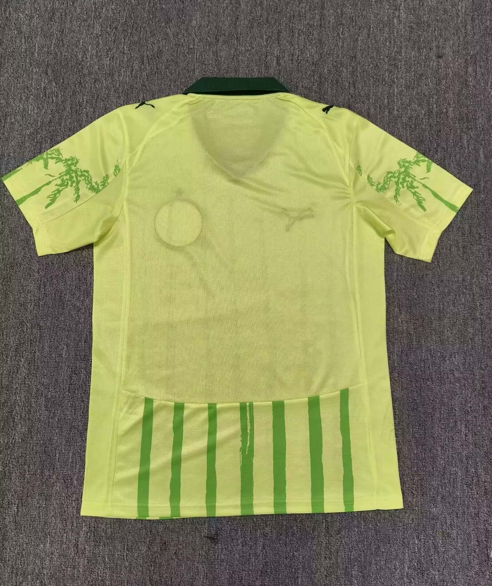2025/2026 Palmeiras Away Jersey 1:1 Thai Quality