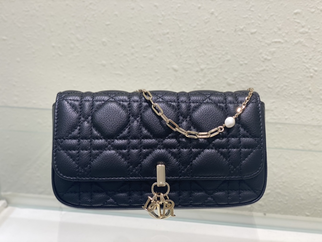 TOP Christian Dior Phone Pouch Bag 19cm-Black