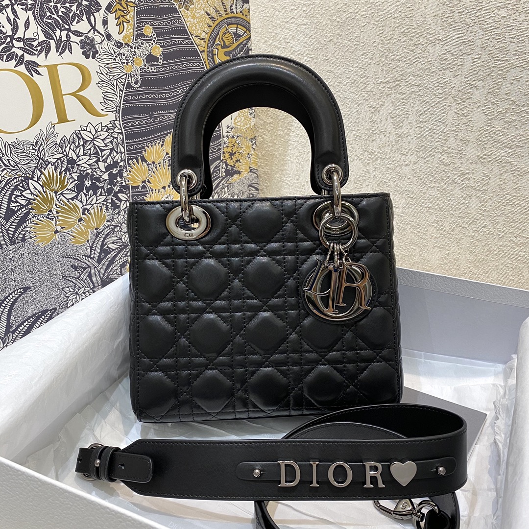 TOP Christian Dior Lady's Latest Gun Color Hardware Series Bags 20cm - 3 Colors